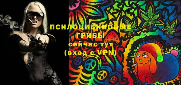 МДПВ Алексеевка