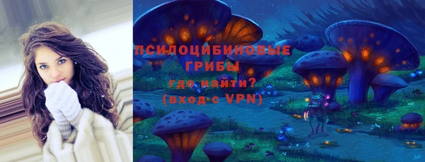 МДПВ Алексеевка