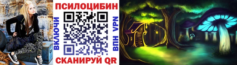 как найти наркотики  Сочи  Псилоцибиновые грибы мухоморы 