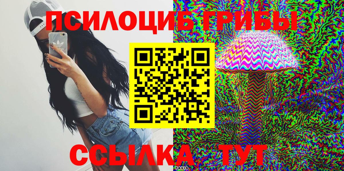 где купить наркоту  Вход с VPN  Сочи  Псилоцибиновые грибы Psilocybine cubensis 