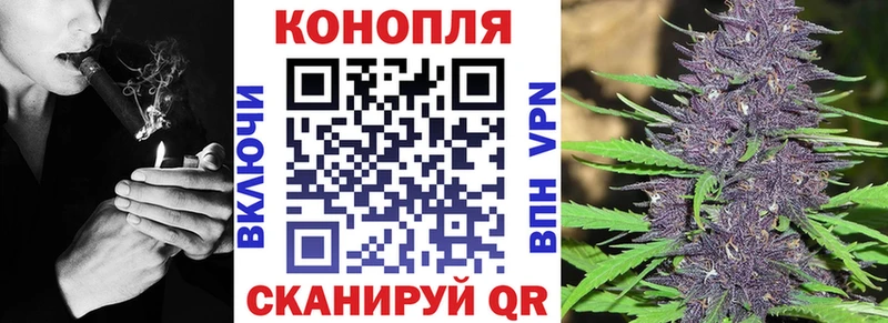 купить закладку  Сочи  Марихуана сатива 